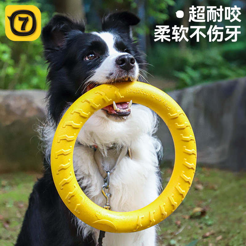 Flying Disc Dog Training Toy - Dog Flying Disc Chewing Toy Training