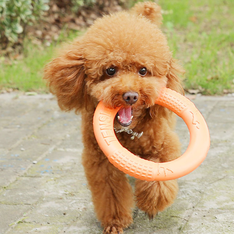 1pc Orange Dog Toys Pet Flying - Flying Disc Dog Training Toy review and price