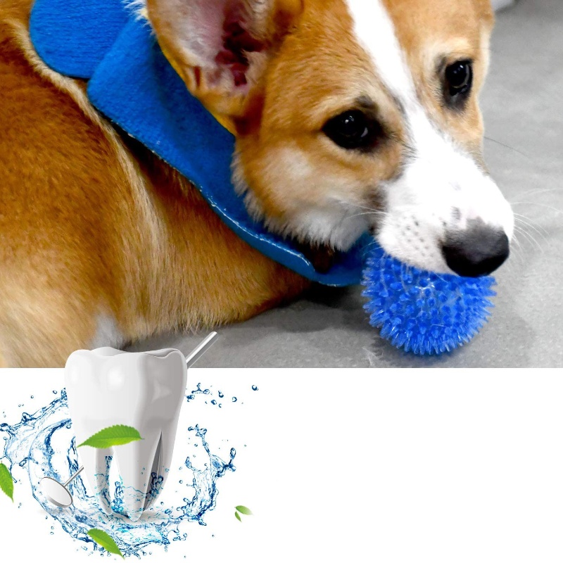 Pet Toy Ball for Cats And Dogs - Interactive Squeaky Plush Dog Toy review and price
