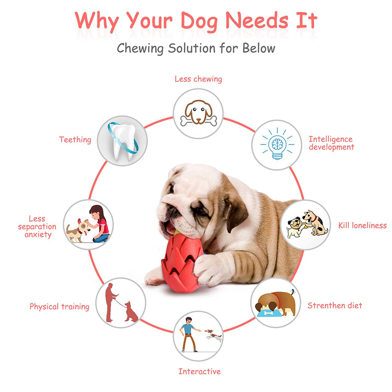 Benepaw Indestructible Pitaya  - Indestructible Dog Chew Toy review and price