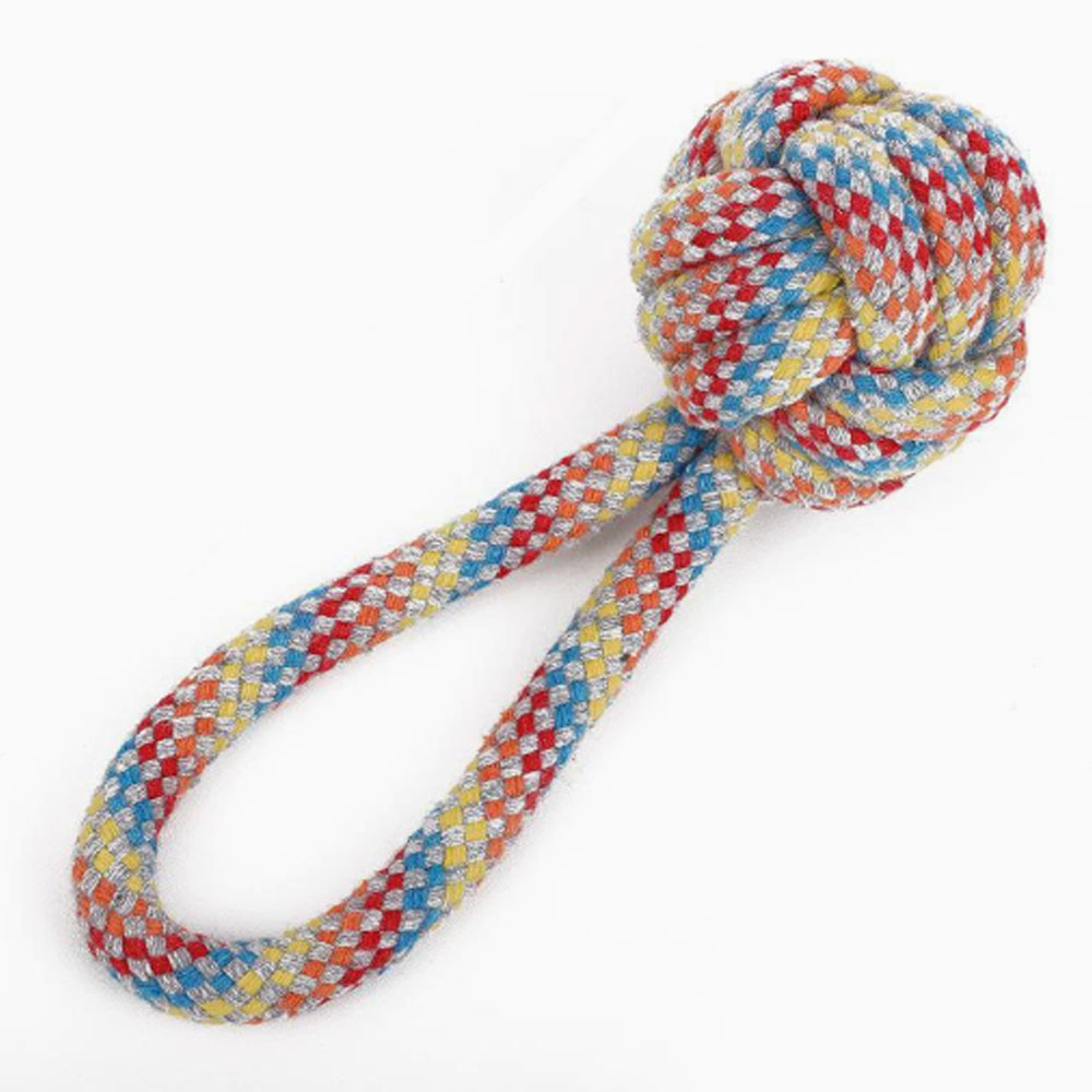 Pet Dog Toys and Supplies, Fri - Interactive Squeaky Plush Dog Toy review and price