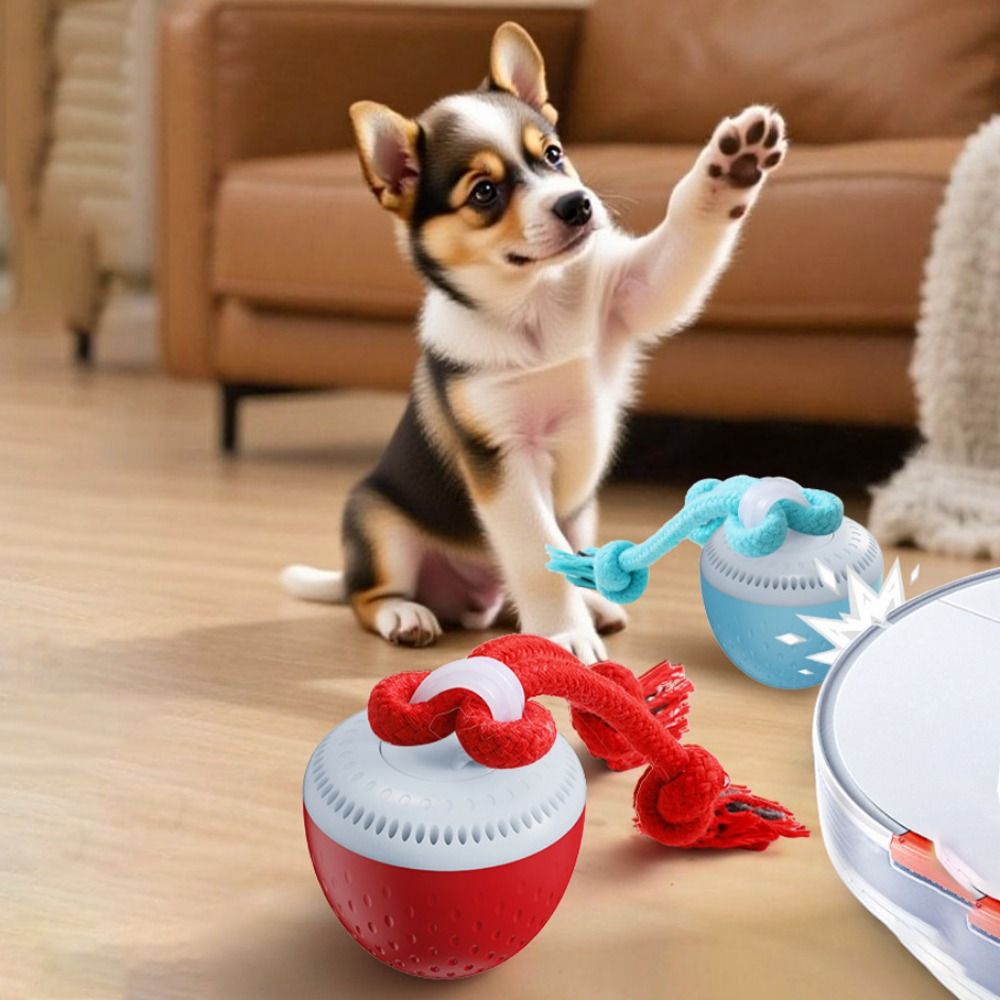 Bite Resistant Smart Pet Toy B - Automatic Moving Dog Ball review and price