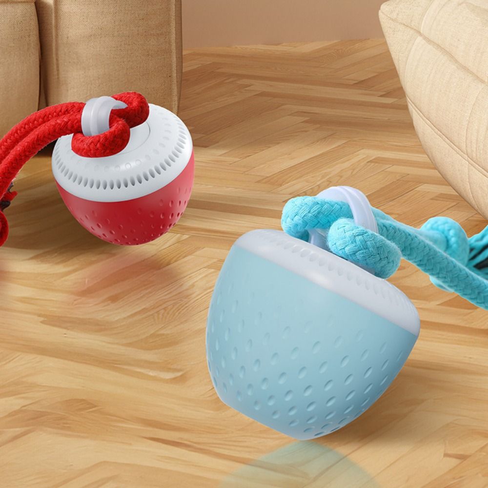 Bite Resistant Smart Pet Toy B - Automatic Moving Dog Ball review and price