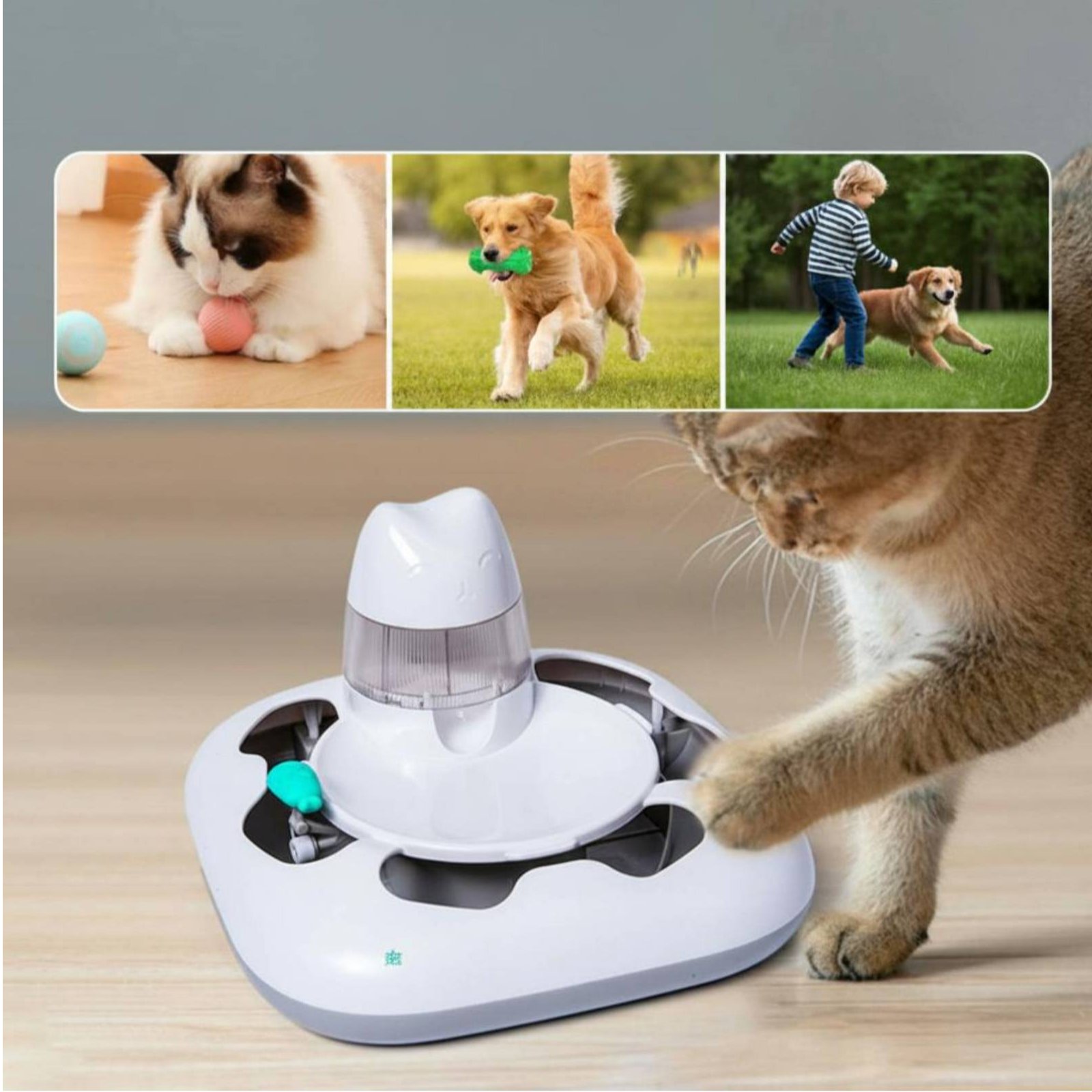 Cat Hunting Game Machine Inter - Cat Toys review and price