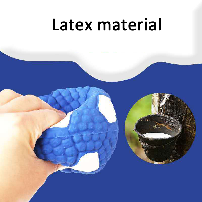 Pet dog toys  Latex soundtrack - Suction Cup Dog Tug Toy review and price