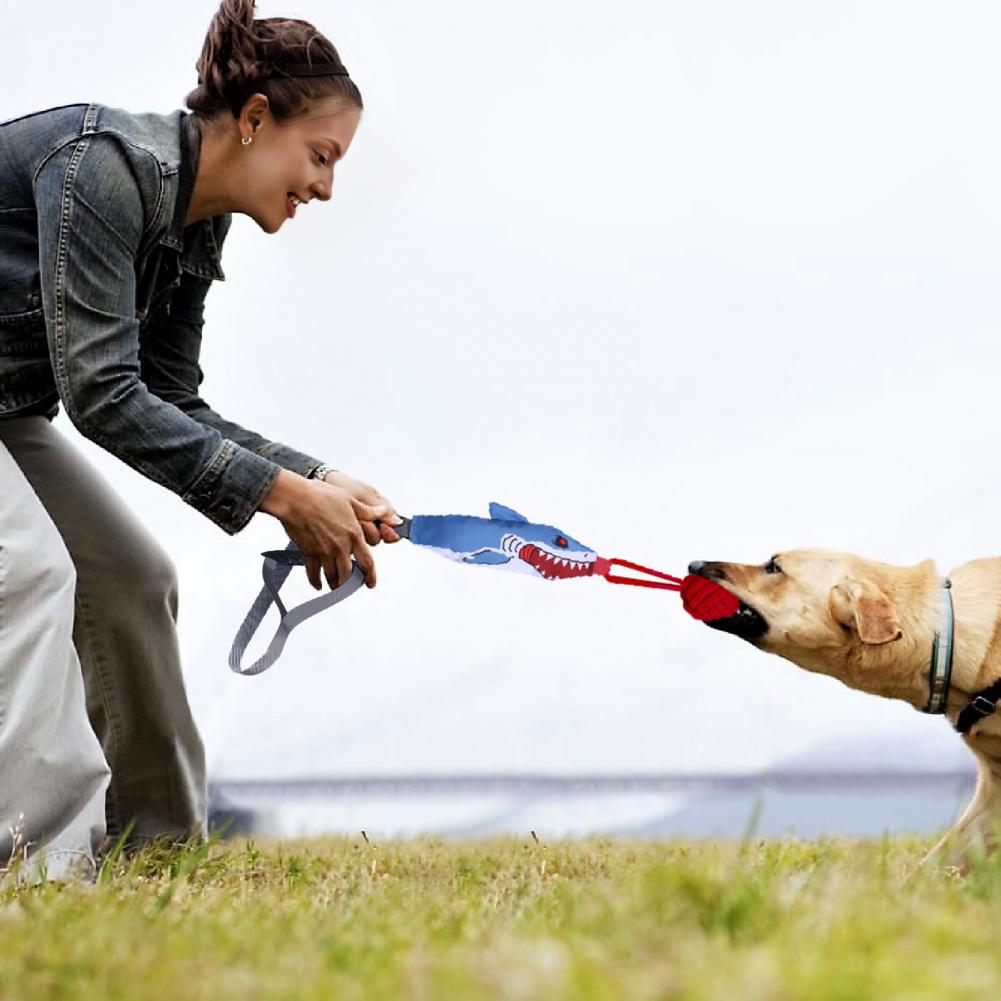 Shark Rope Tug Toy with Suctio - Suction Cup Dog Tug Toy review and price