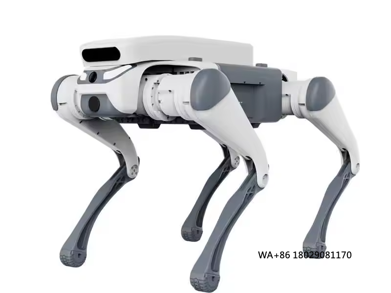 stunt remote control education - Dog Toys review and price