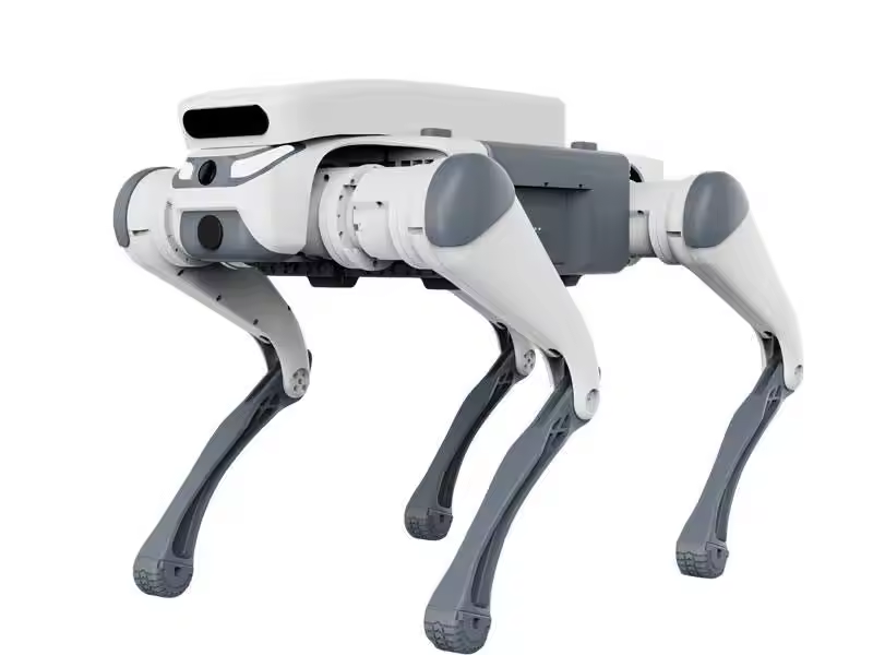 stunt remote control education - Dog Toys review and price