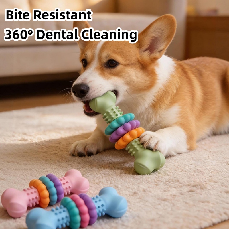 Durable TPR Dog Chew Toy Bone  - Teeth Cleaning Dog Chew Bone review and price