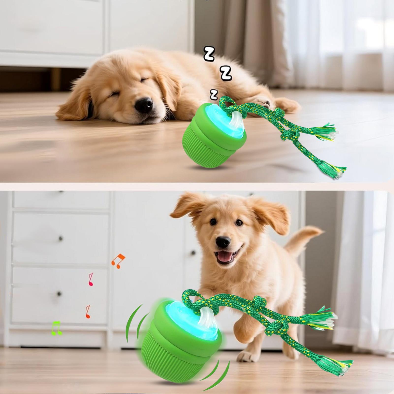 Interactive Dog Ball Automatic - Automatic Moving Dog Ball review and price