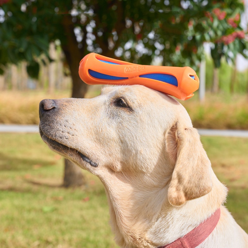 Indestructible Floating Dog Ch - Indestructible Dog Chew Toy review and price