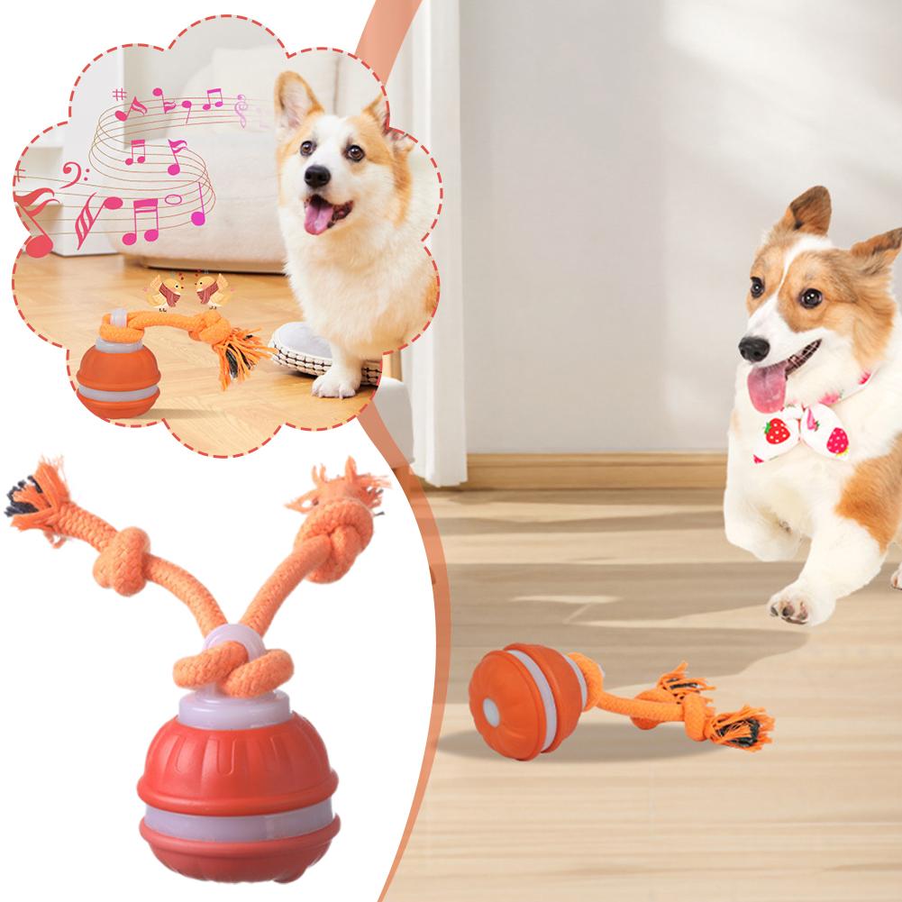 Smart Rechargeable Dog Ball In - Automatic Moving Dog Ball review and price