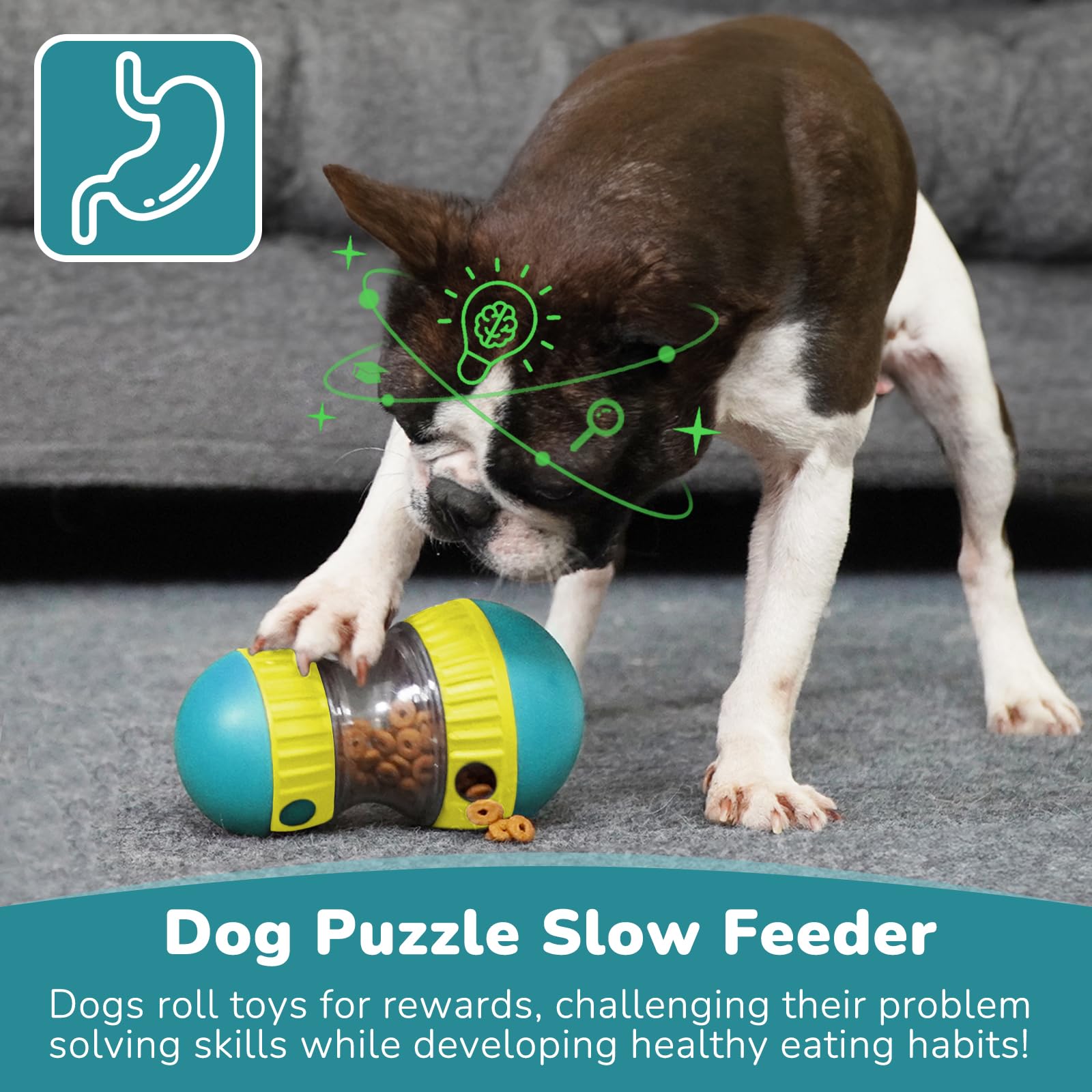 Dog Toys & Adjustable Slow Fee - Dog Puzzle Feeder Toy review and price