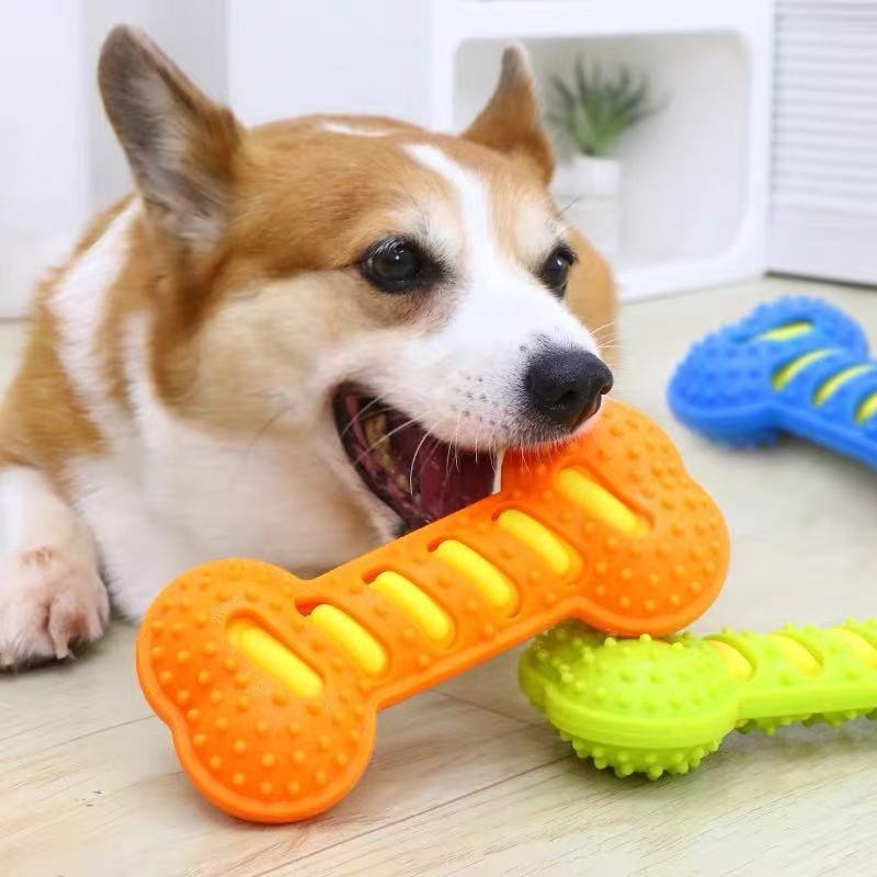 Rubber Bone Dog Molar Stick No - Teeth Cleaning Dog Chew Bone review and price