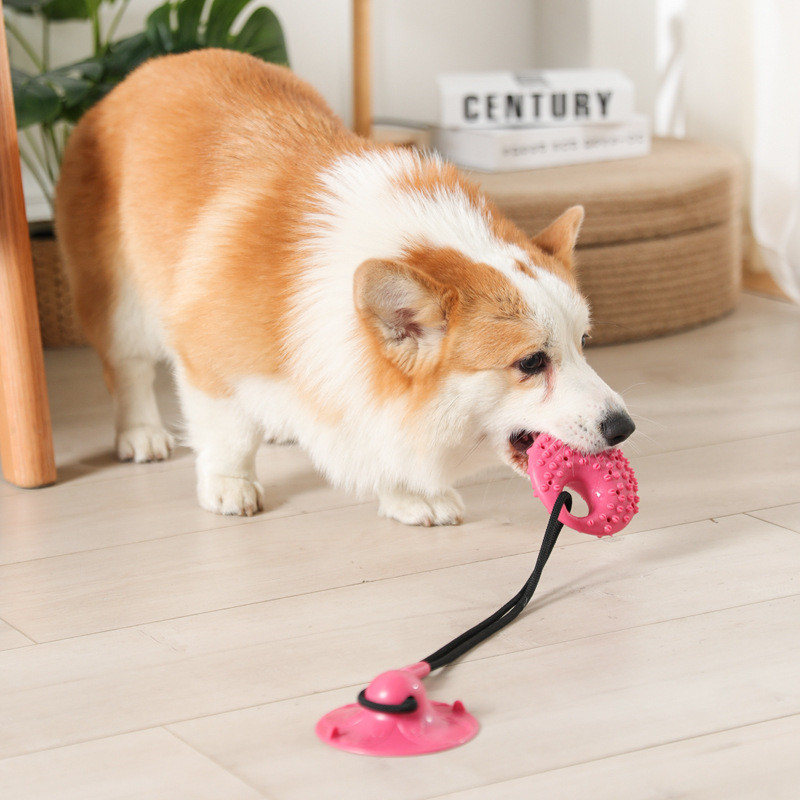 Dog Toys Silicon Suction Cup T - Suction Cup Dog Tug Toy review and price