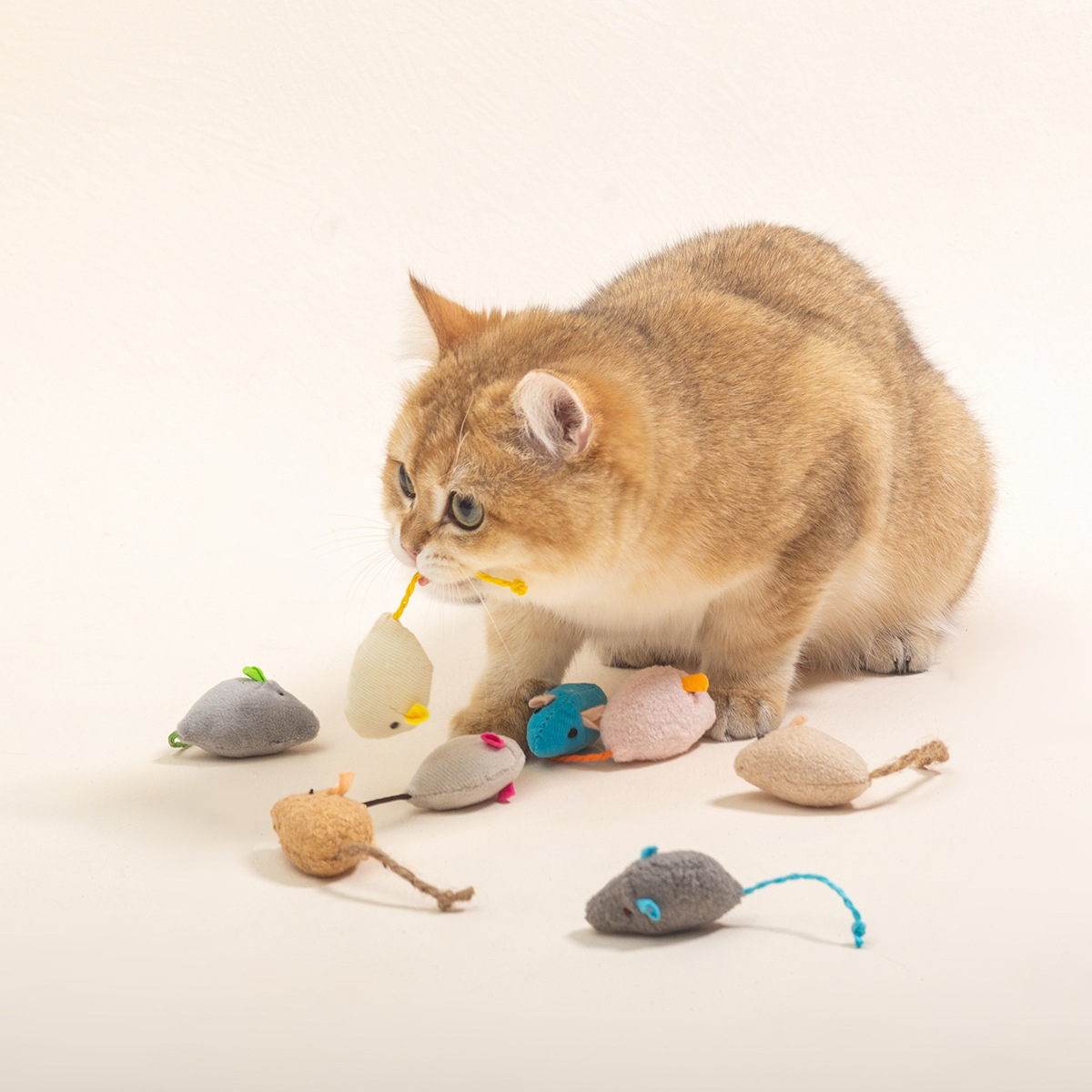 16PCS Interactive Cat Mice Toy - Catnip Interactive Plush Mouse review and price