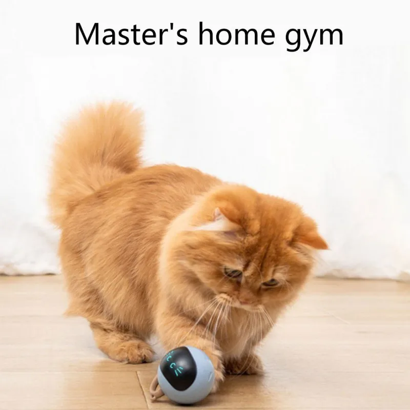 Interactive Cat Ball Toy USB R - Automatic Moving Dog Ball review and price