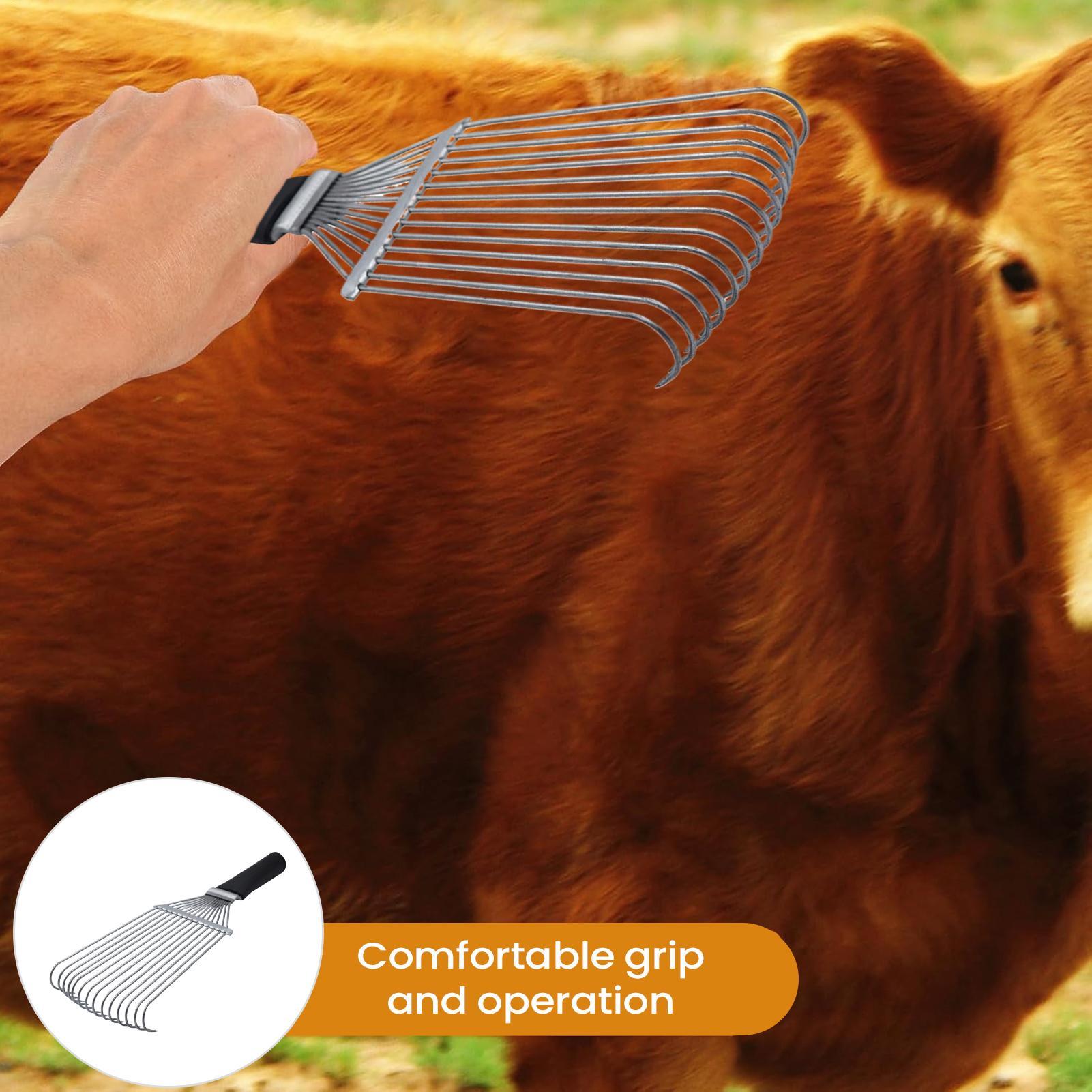 Horse Grooming Rake Shedding B - Pet Grooming review and price
