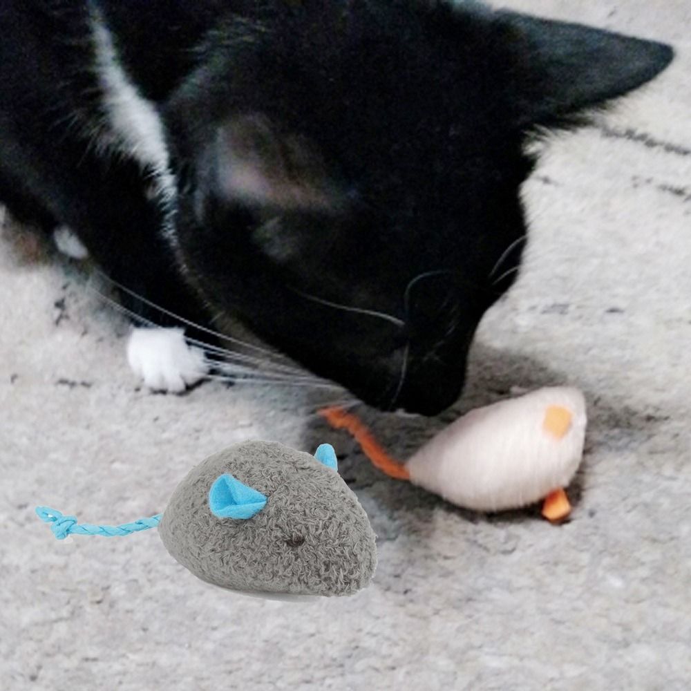 2pcs Funny Plush Soft Interact - Catnip Interactive Plush Mouse review and price