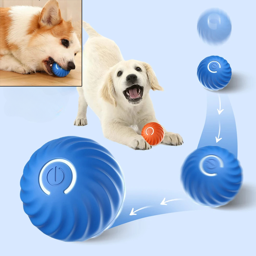 Dog Toy Ball Automatic Moving  - Suction Cup Dog Tug Toy review and price