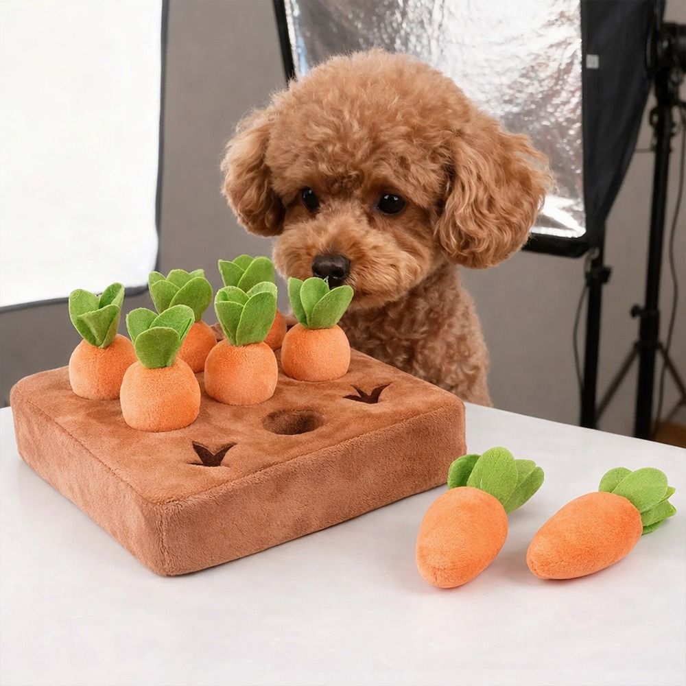 Stress Relief Carrot Snuffle M - Dog Puzzle Feeder Toy review and price