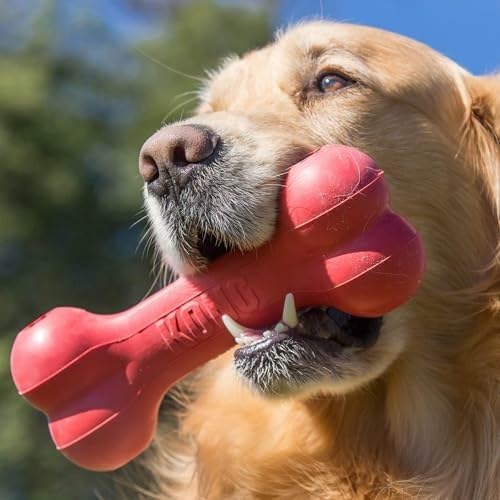 Classic Durable Natural Rubber - Rubber Treat Dispensing Dog Toy review and price