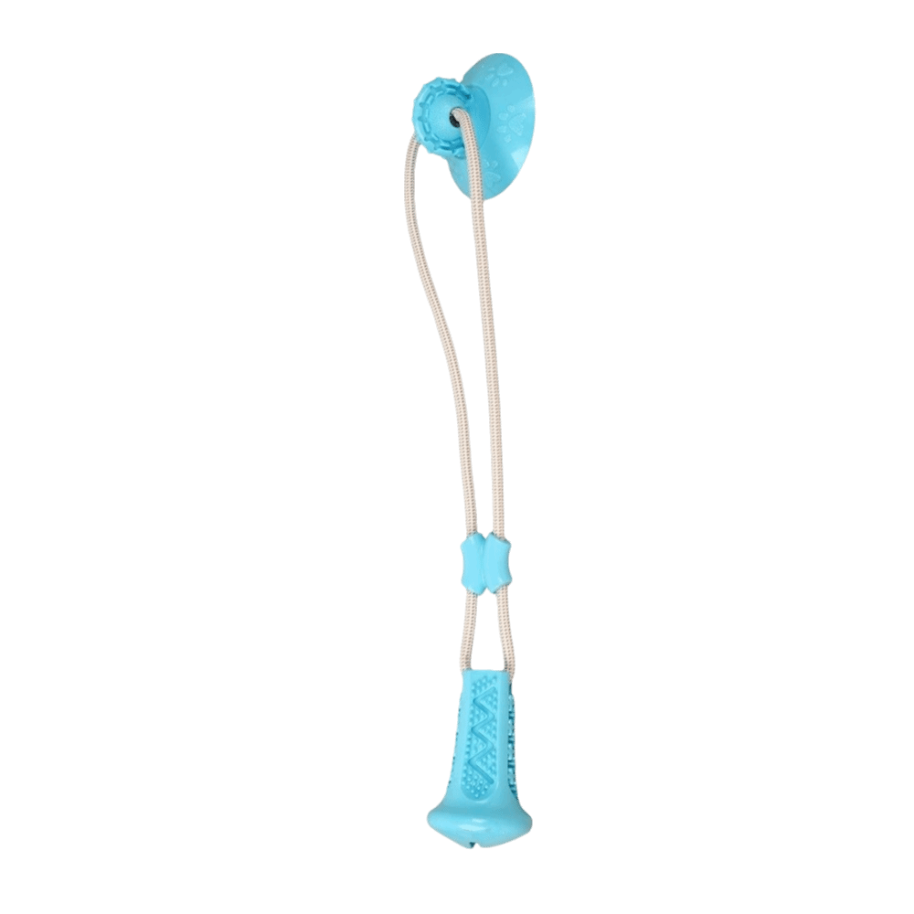 Bite-Resistant Dog Suction Cup - Suction Cup Dog Tug Toy review and price