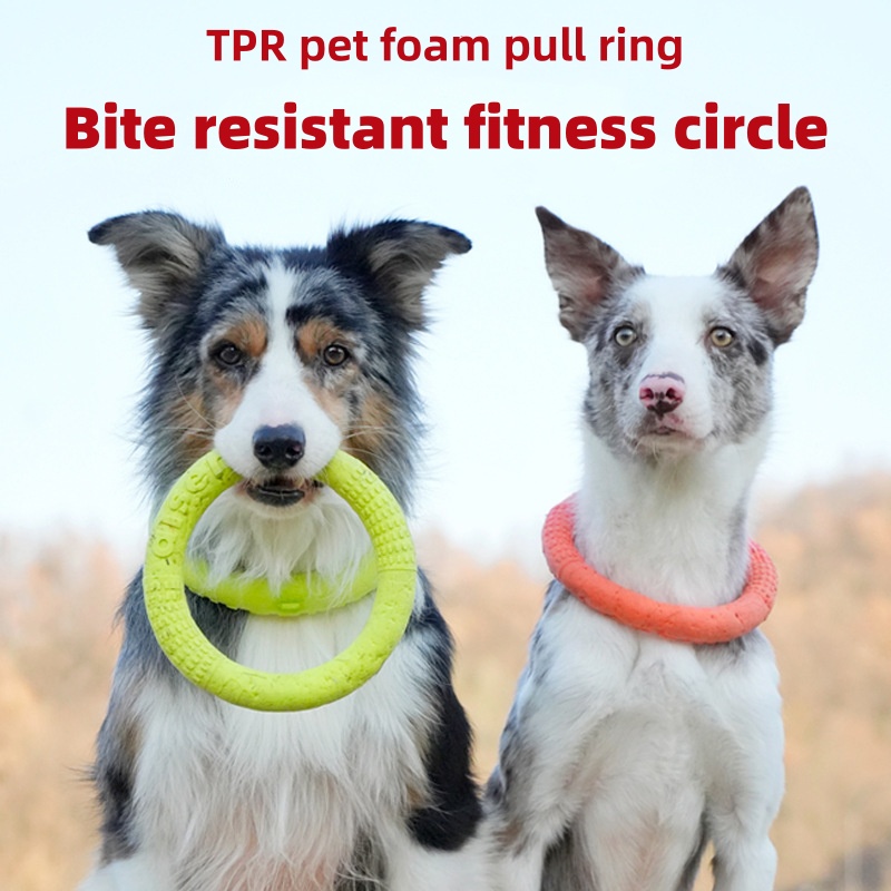 Chew Resistant EVA Dog Flyer W - Flying Disc Dog Training Toy review and price