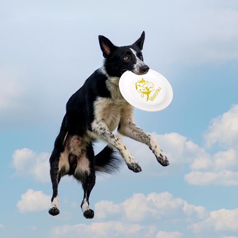 OUZEY Bite Resistant Pet Train - Flying Disc Dog Training Toy review and price