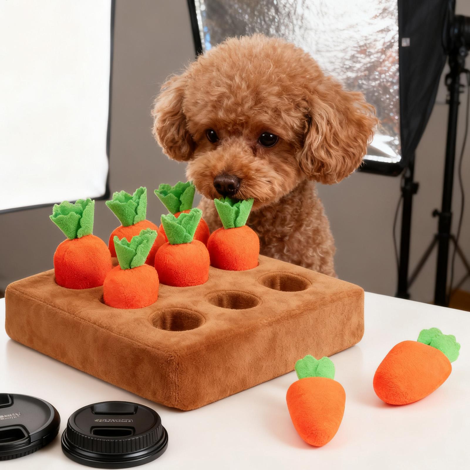 Snuffle Mat for Puppies Funny  - Snuffle Mat For Dogs review and price