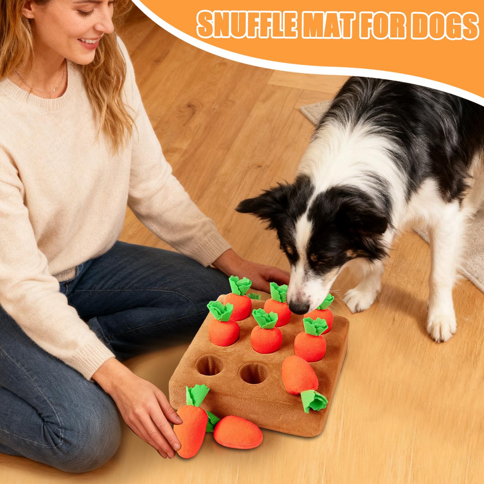 Snuffle Mat for Puppies Funny  - Snuffle Mat For Dogs review and price