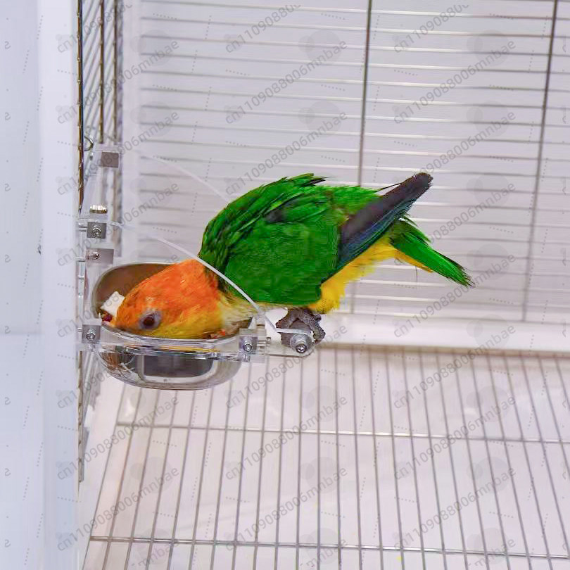 Parrot food box stainless stee - Pet Feeders review and price