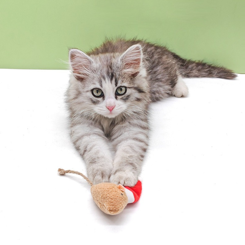 5pcs Cat Push Chew Toy Catnip  - Catnip Interactive Plush Mouse review and price