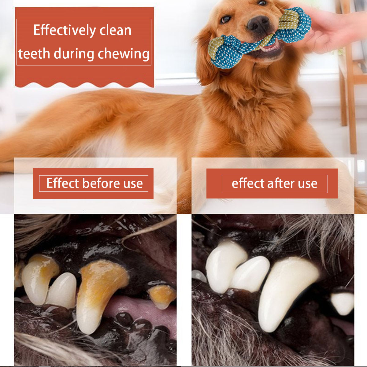 New 7PCS Pet Dog Puppy Double  - Teeth Cleaning Dog Chew Bone review and price
