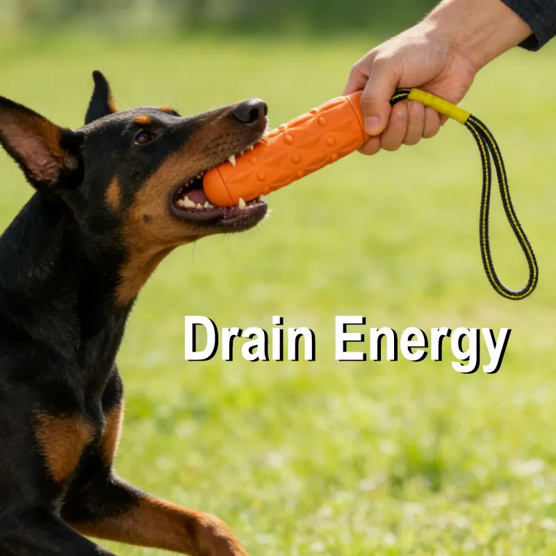Indestructible Dog Chew Toy EV - Dog Rope Toy Aggressive Chewers review and price
