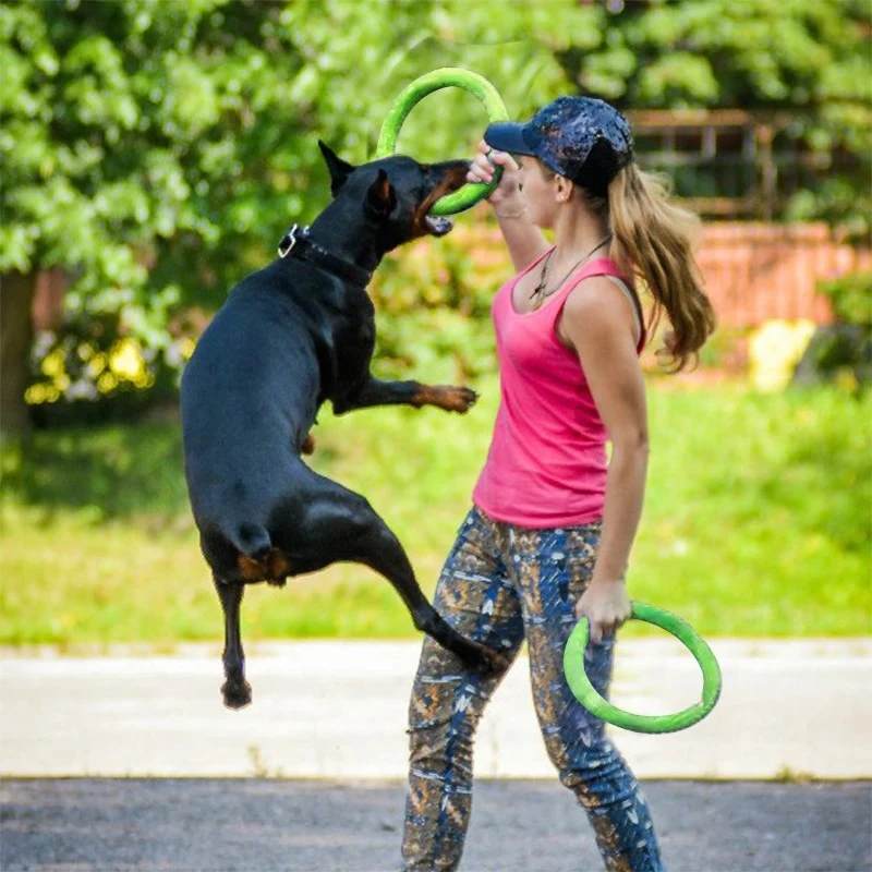 Dog Toys Pet Flying Discs EVA  - Flying Disc Dog Training Toy review and price