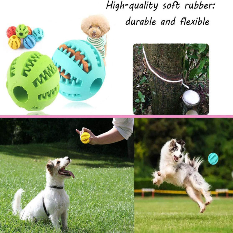Interactive Nontoxic Bite Resi - Dog Puzzle Feeder Toy review and price