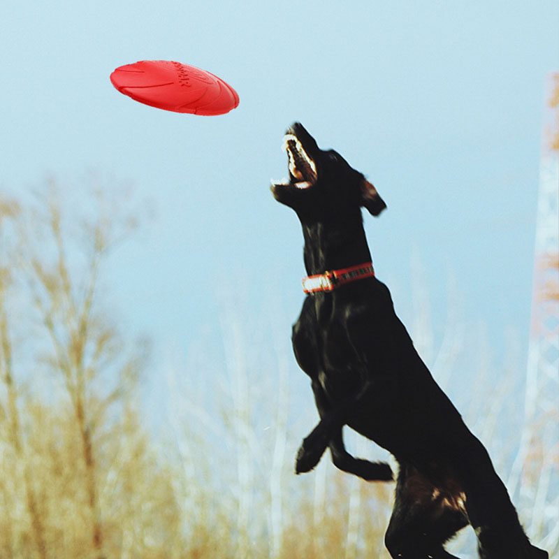 Rubber Pet Dog Flying Discs Sa - Flying Disc Dog Training Toy review and price