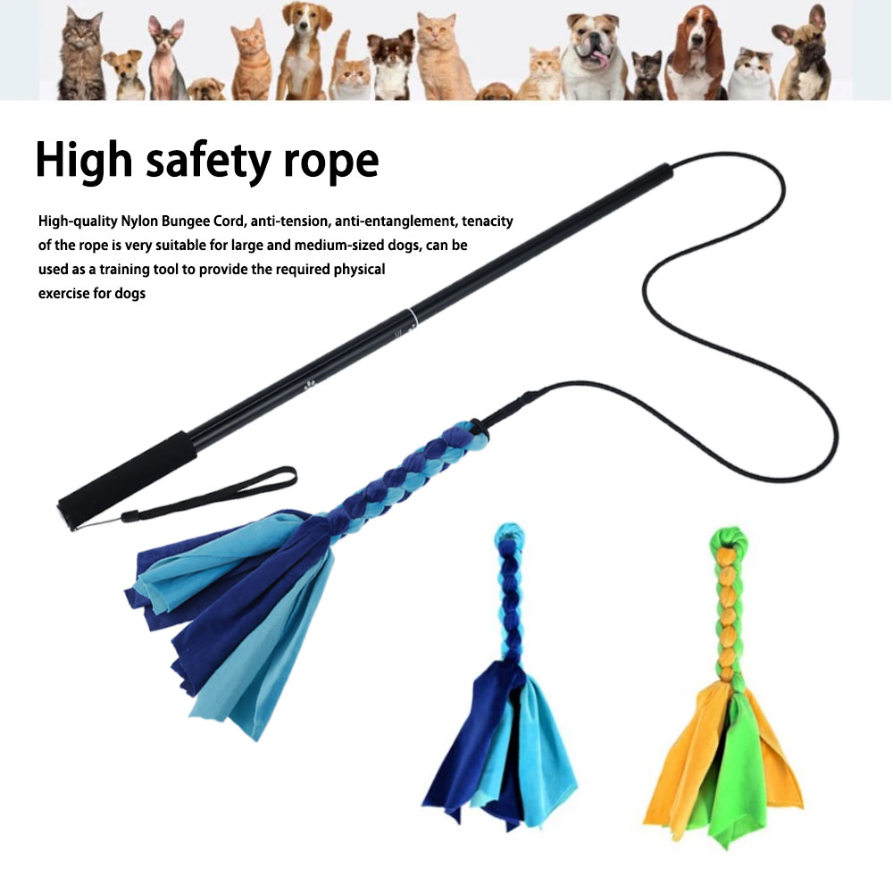 Retractable Dog Stick Interact - Interactive Squeaky Plush Dog Toy review and price