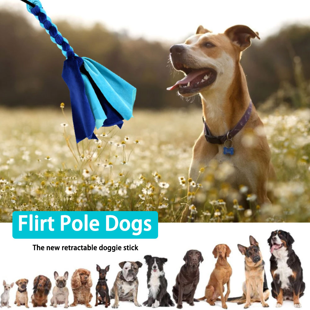 Retractable Dog Stick Interact - Interactive Squeaky Plush Dog Toy review and price