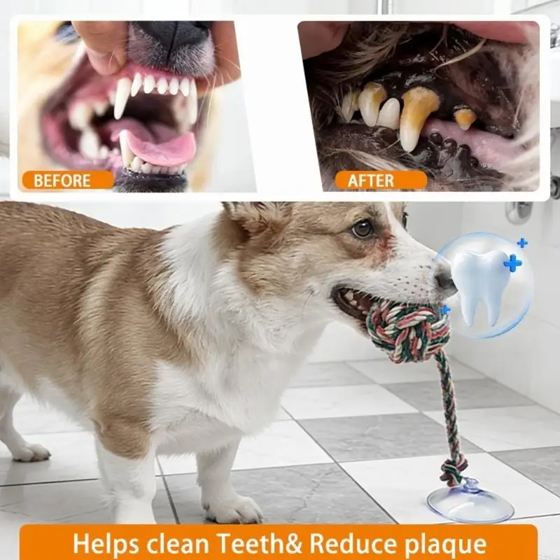 Interactive Dog Chewing Toy Tu - Suction Cup Dog Tug Toy review and price