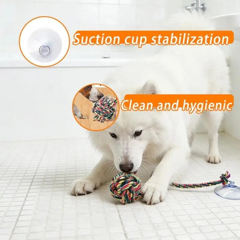 Interactive Dog Chewing Toy Tu - Suction Cup Dog Tug Toy review and price