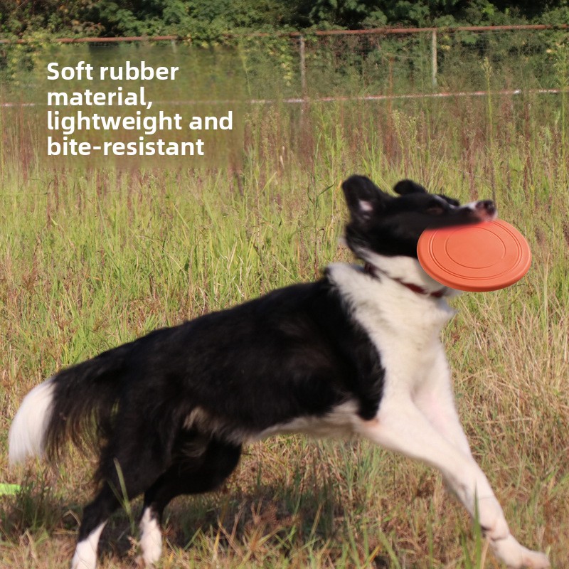 Bite Resistant Floating Soft P - Flying Disc Dog Training Toy review and price