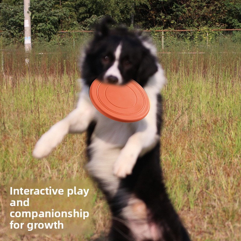 Bite Resistant Floating Soft P - Flying Disc Dog Training Toy review and price