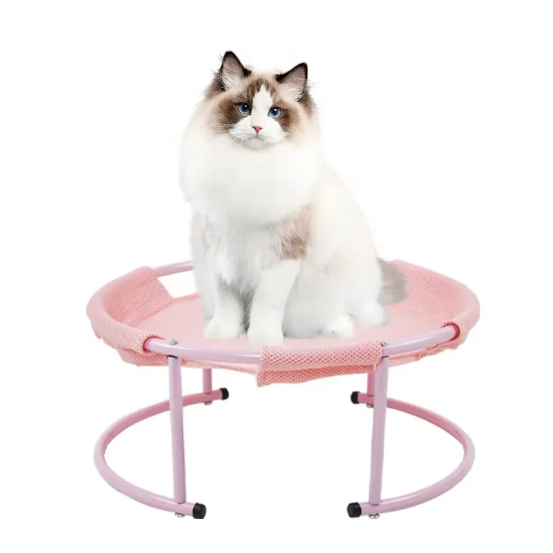 for Customized Elevated Stainl - Pet Beds review and price