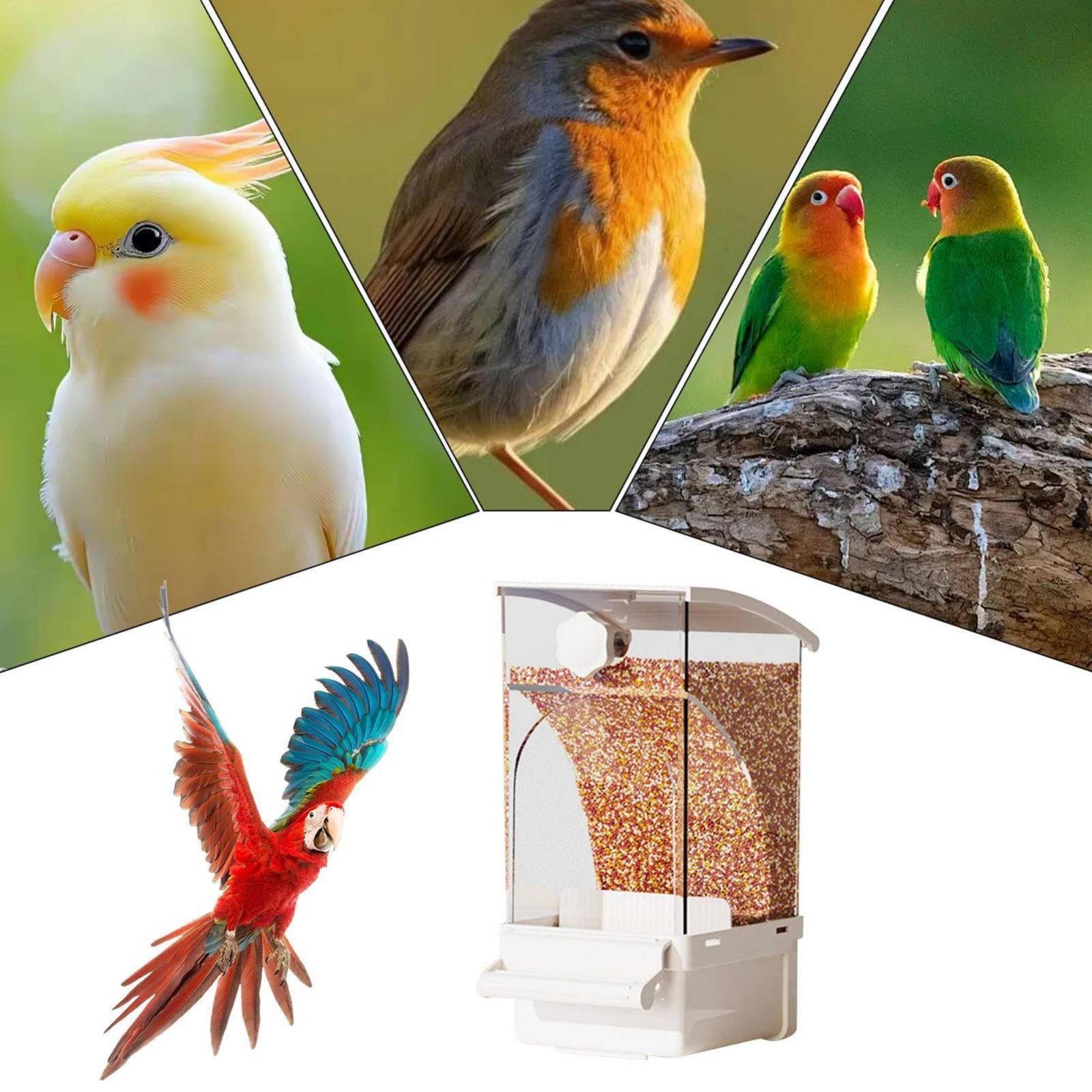 Automatic Avian Feeder Husk Se - Pet Feeders review and price