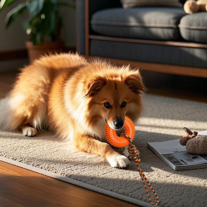Squeaky Toys For Dogs Spiky Ri - Dog Rope Toy Aggressive Chewers review and price