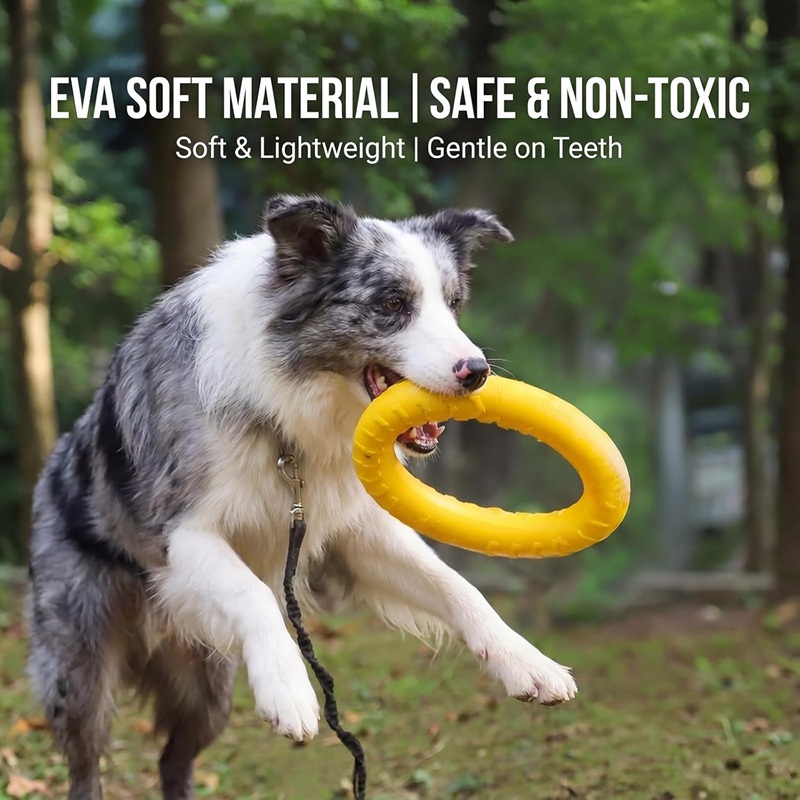Dog Toys Pet Flying Discs EVA  - Flying Disc Dog Training Toy review and price