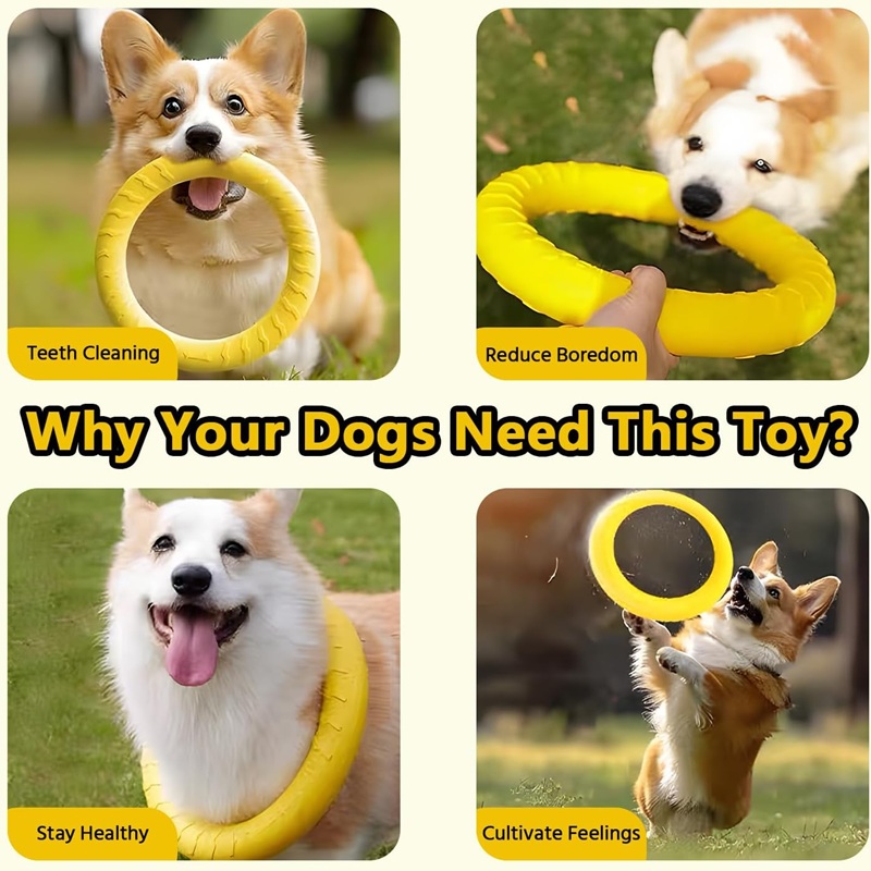 Dog Toys Pet Flying Discs EVA  - Flying Disc Dog Training Toy review and price