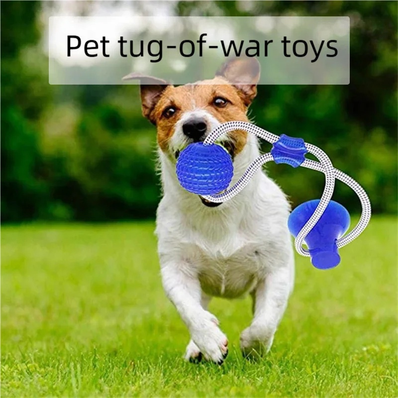 Durable Suction Cup Dog Tug To - Suction Cup Dog Tug Toy review and price